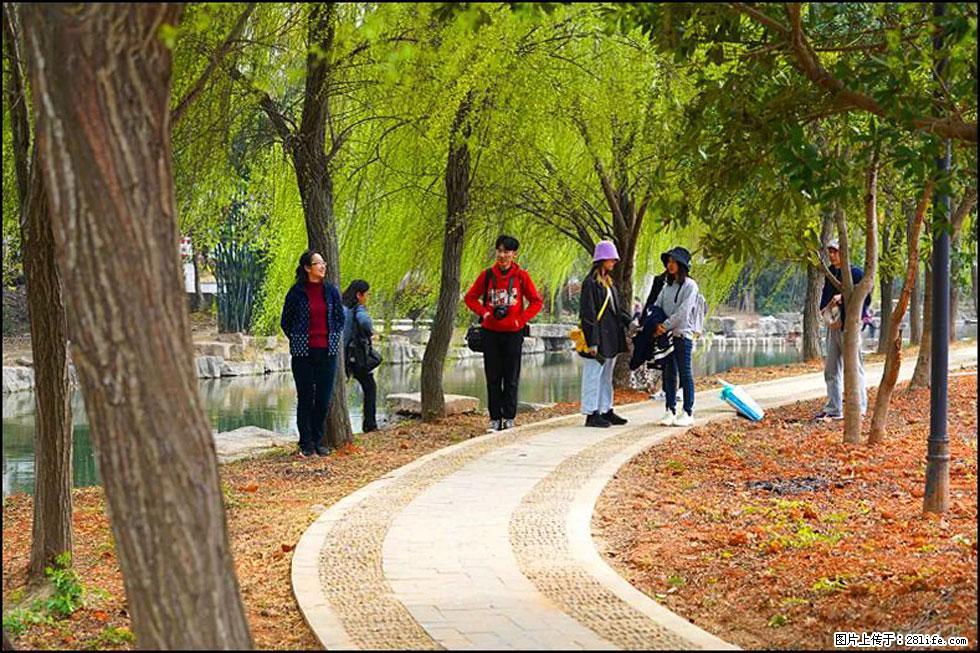 【春天,广西桂林灌阳县向您发出邀请!】江口老街又逢春 - 游山玩水 - 贵阳生活社区 - 贵阳28生活网 gy.28life.com