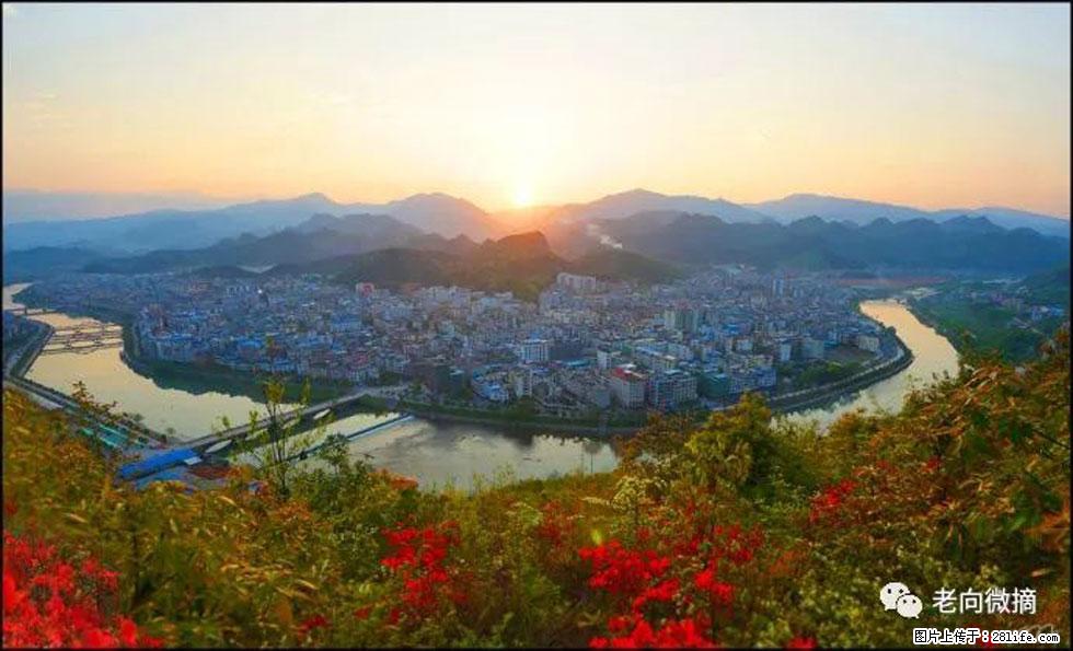 【春天,广西桂林灌阳县向您发出邀请!】登麒麟山,相约映山红 - 游山玩水 - 贵阳生活社区 - 贵阳28生活网 gy.28life.com