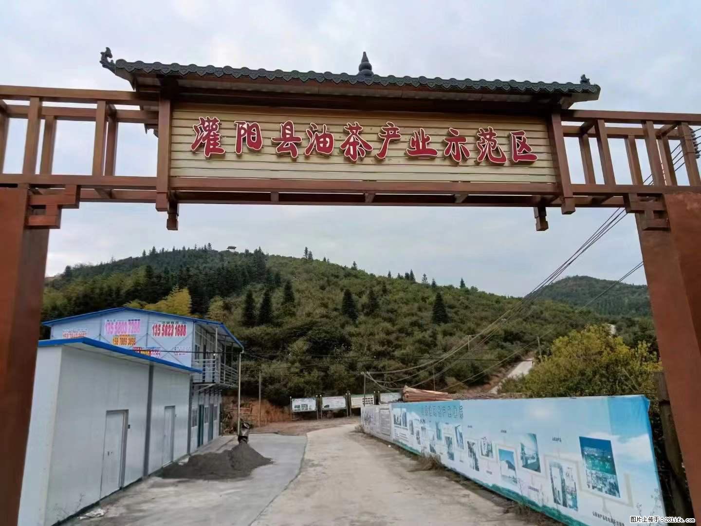 【灌阳县油茶产业示范区】一个有着充实的精神生活的人,对待身外之物自会有一种淡泊的态度 - 美食天地 - 贵阳生活社区 - 贵阳28生活网 gy.28life.com