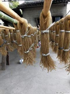 【灌阳正宗红薯粉】美女家里自己做的，干净卫生，假一赔十，价格合理，抢购电话：13737312895