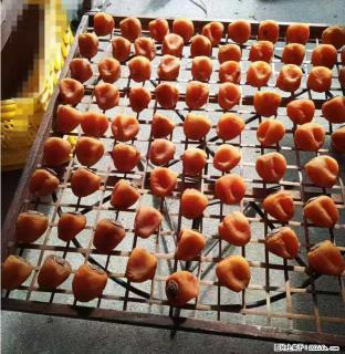 广西桂林平乐桥亭【柿饼之乡】2025年纯手工制作、无任何添加剂的第一批柿饼准备上市了，欢迎联系订购！ - 贵阳28生活网 gy.28life.com