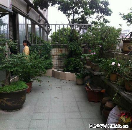 大露台 亨特国际对面文昌第居商.住5室2厅226平仅租1万 - 房屋出租 - 房屋租售 - 贵阳分类信息 - 贵阳28生活网 gy.28life.com