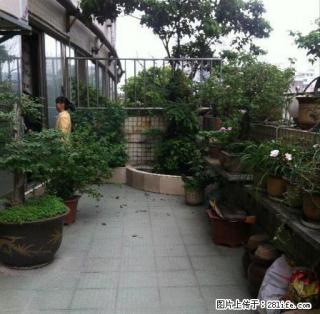 大露台 亨特国际对面文昌第居商.住5室2厅226平仅租1万 - 贵阳28生活网 gy.28life.com