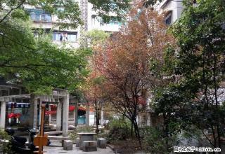 大南门星力百货 邮电大楼全林步行街1室1厅1250元3楼 - 贵阳28生活网 gy.28life.com