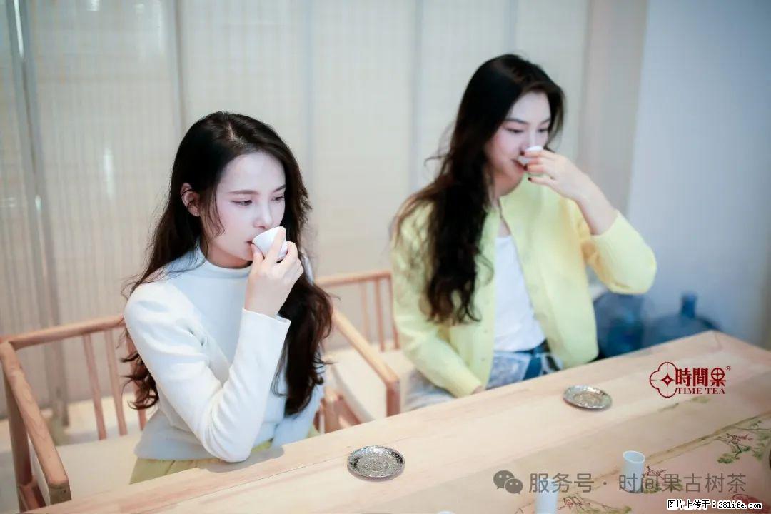 时间果百年古树龙珠普洱生茶 - 购物交流 - 贵阳生活社区 - 贵阳28生活网 gy.28life.com