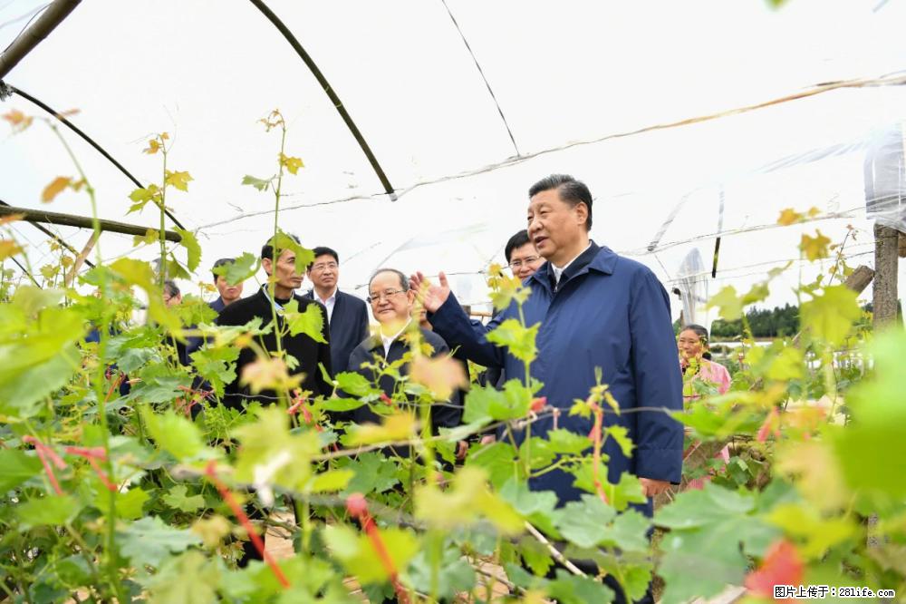 习近平赴广西考察调研 - 贵阳生活资讯 - 贵阳28生活网 gy.28life.com