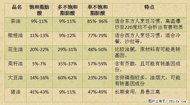 揭秘茶油的5大核心营养成分!被称为人体健康的“守护盾”! - 贵阳生活资讯 - 贵阳28生活网 gy.28life.com