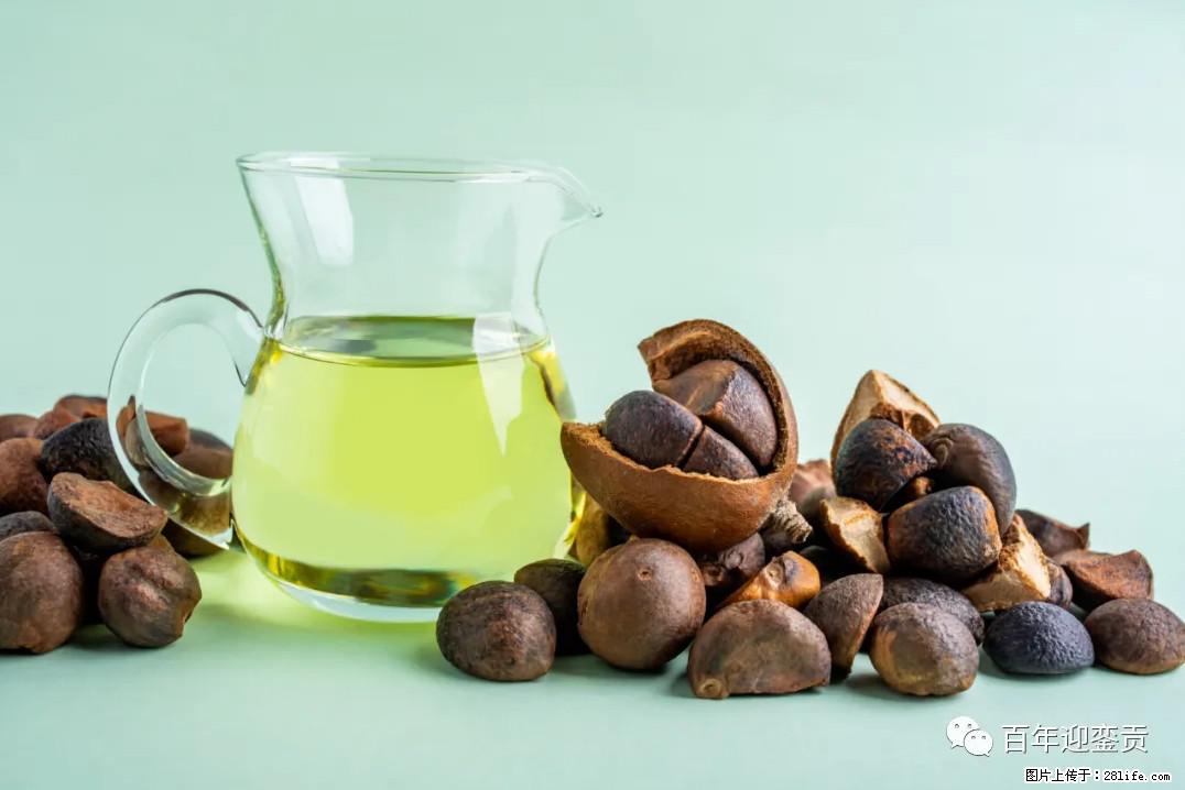 世界没有真相,只有认知,最好的食用油是中国的山茶油! - 贵阳生活资讯 - 贵阳28生活网 gy.28life.com