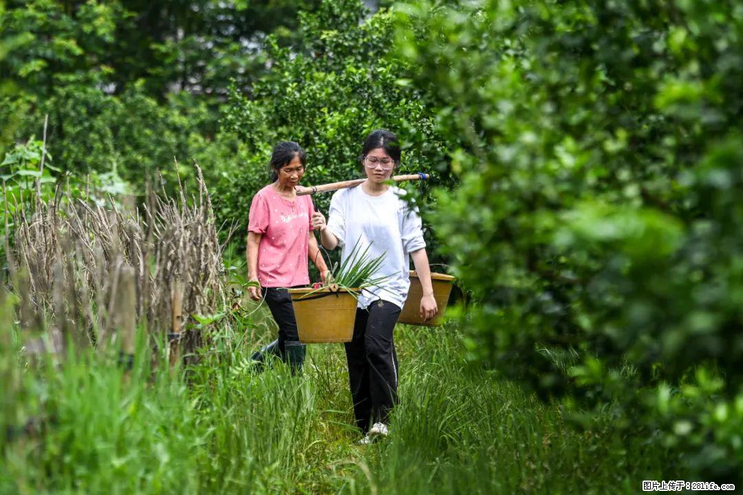 全网追的“扁担女孩”，找了一份暑假工，时薪12元 - 贵阳生活资讯 - 贵阳28生活网 gy.28life.com