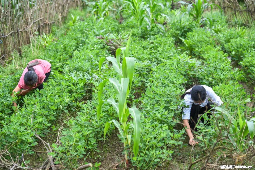 全网追的“扁担女孩”，找了一份暑假工，时薪12元 - 贵阳生活资讯 - 贵阳28生活网 gy.28life.com
