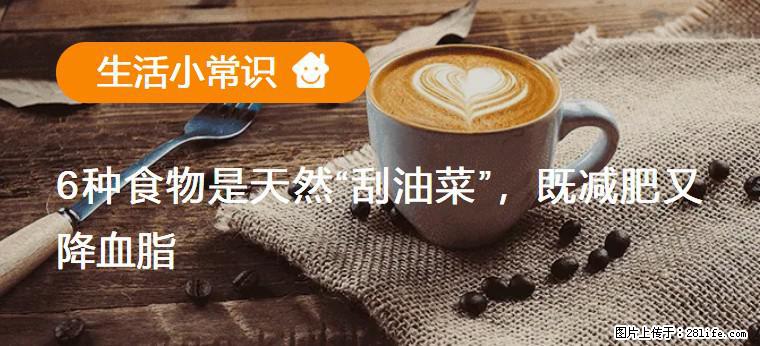 【生活小常识】6种食物是天然“刮油菜”，既减肥又降血脂 - 贵阳生活资讯 - 贵阳28生活网 gy.28life.com