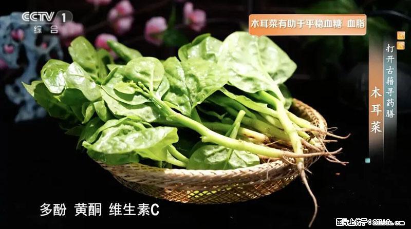 比牛奶补钙还厉害!凉血解毒、稳血糖...这菜冬天必吃,很多人却当草 - 贵阳生活资讯 - 贵阳28生活网 gy.28life.com
