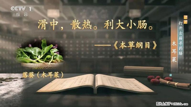 比牛奶补钙还厉害!凉血解毒、稳血糖...这菜冬天必吃,很多人却当草 - 贵阳生活资讯 - 贵阳28生活网 gy.28life.com