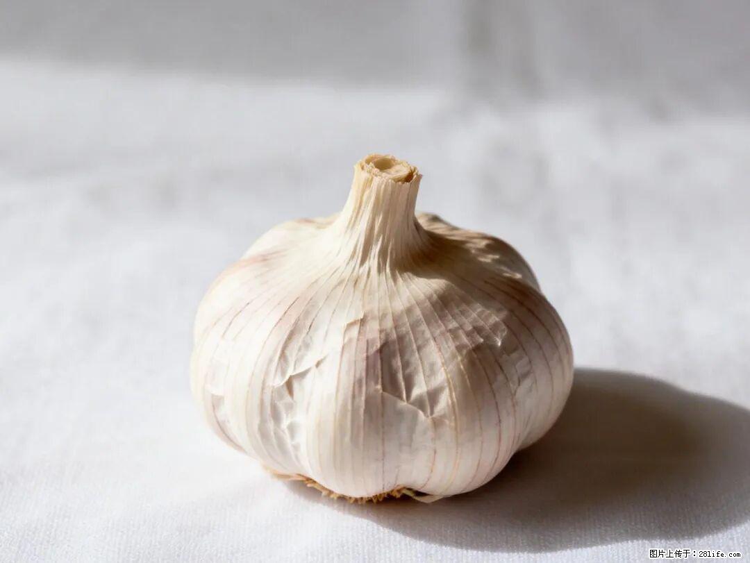 关于大蒜，除了“天然抗生素”，这4个谣言更该警惕! - 贵阳生活资讯 - 贵阳28生活网 gy.28life.com