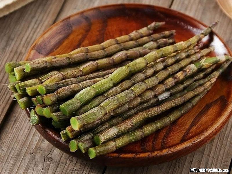 铁皮石斛的作用与功能主治 - 贵阳生活资讯 - 贵阳28生活网 gy.28life.com