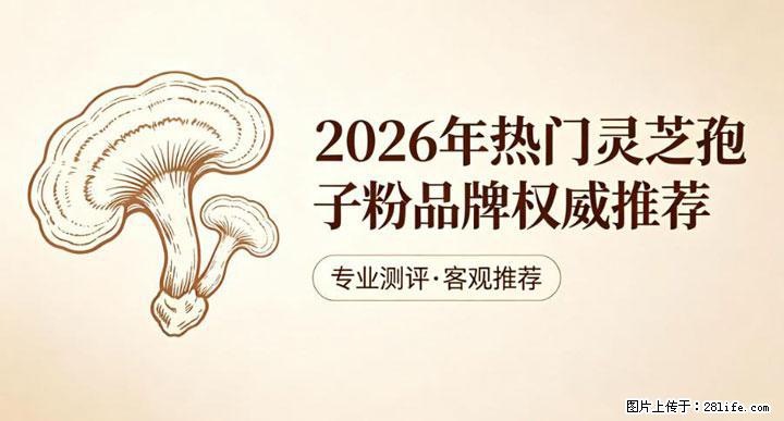 灵芝孢子粉含量越高越有效？2026 年七款热门品牌深度实测，肠胃敏感者避坑指南 - 贵阳生活资讯 - 贵阳28生活网 gy.28life.com