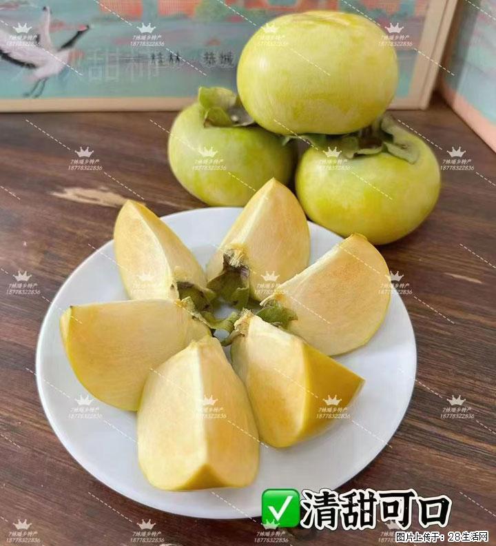 广西桂林平乐桥亭【红心猕猴桃】、【大秋甜柿】上市啦，欢迎各位新老客户下单（另有少量小果出售） - 贵阳生活资讯 - 贵阳28生活网 gy.28life.com
